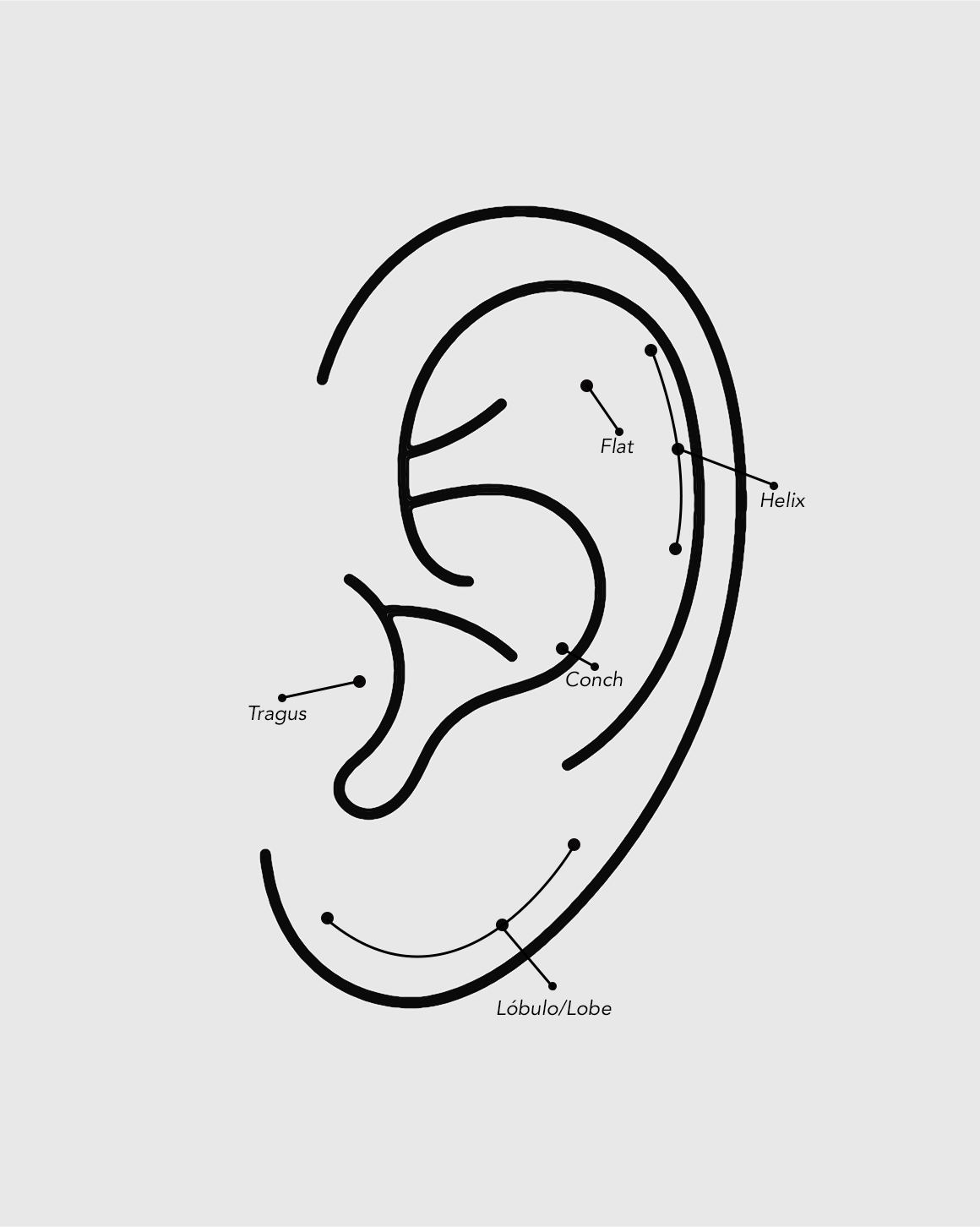 Piercing contorno lágrima de oro sólido 14k con circonitas