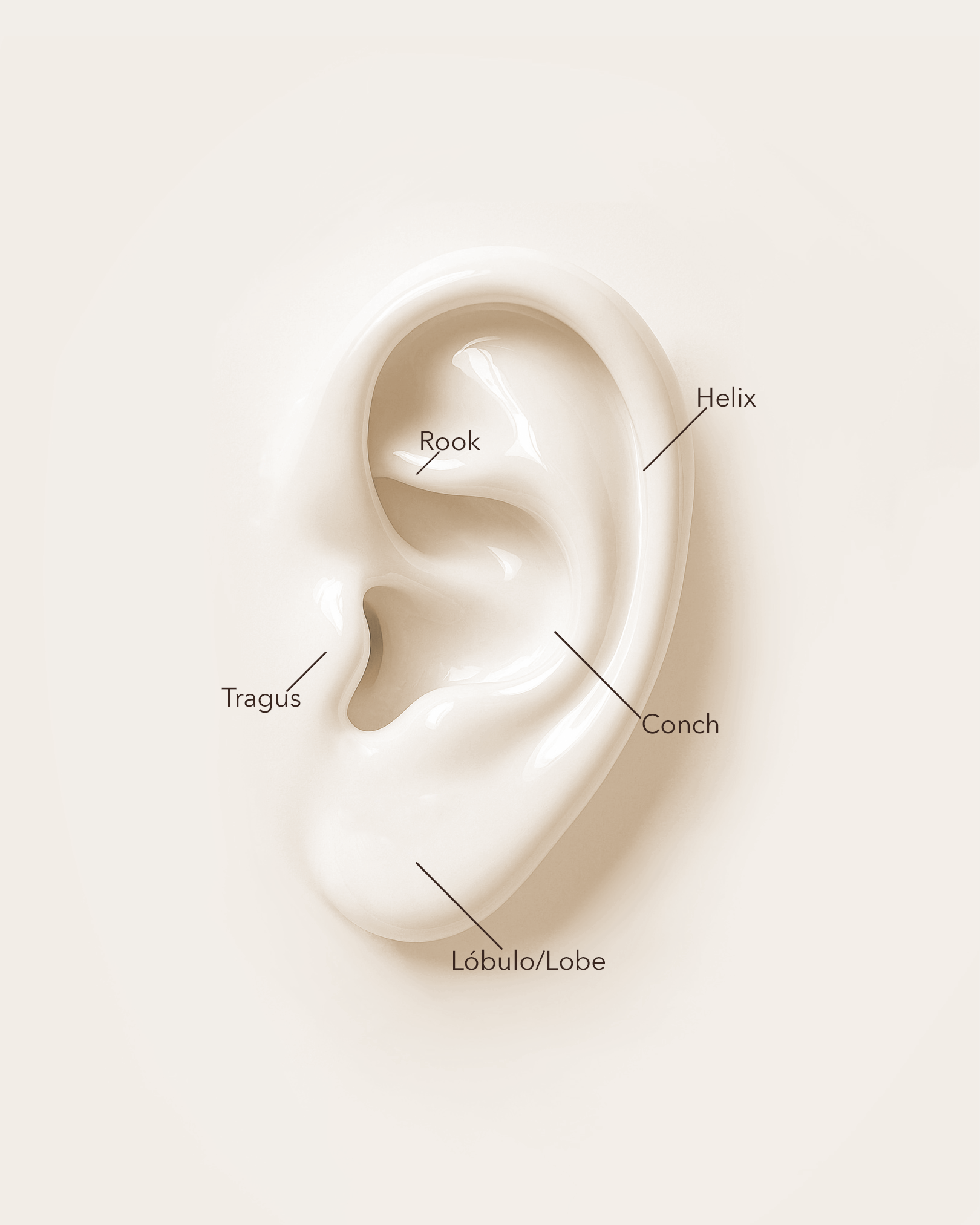 Aro oro 24k PVD y circonitas