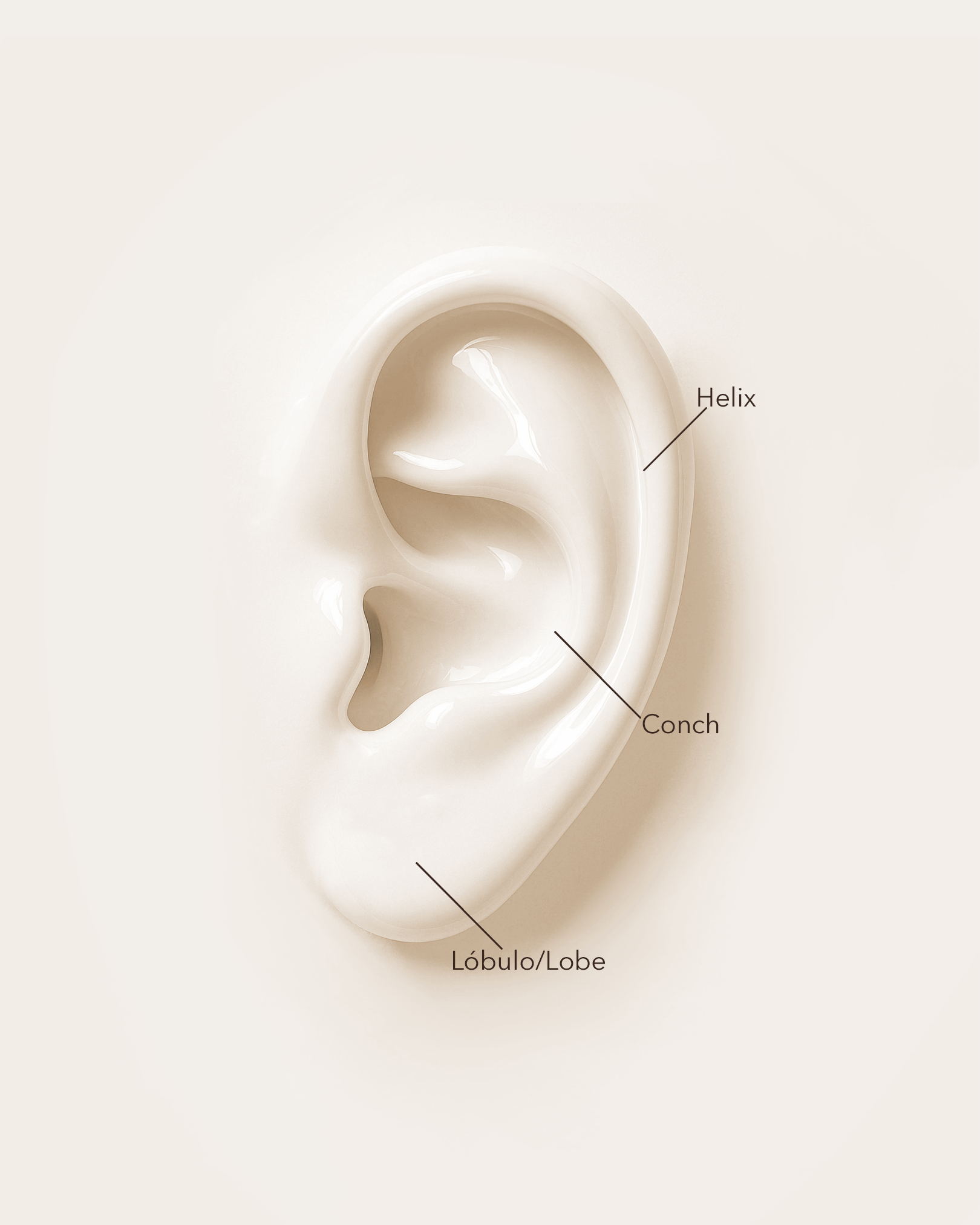 Aro triple oro 24k PVD y circonitas