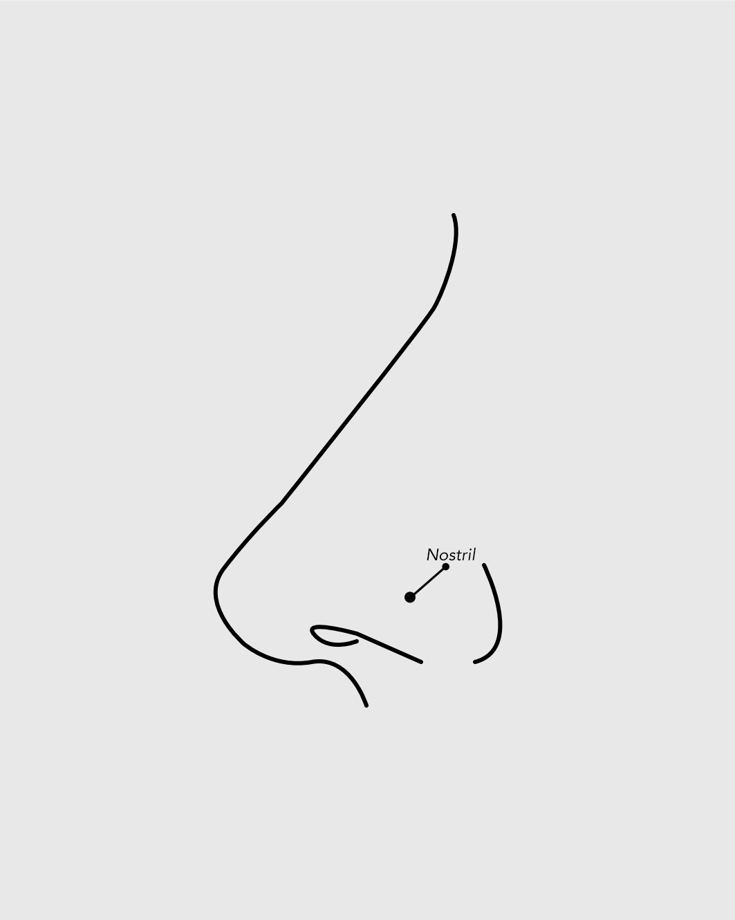 Aro cruzado de titanio con circonitas