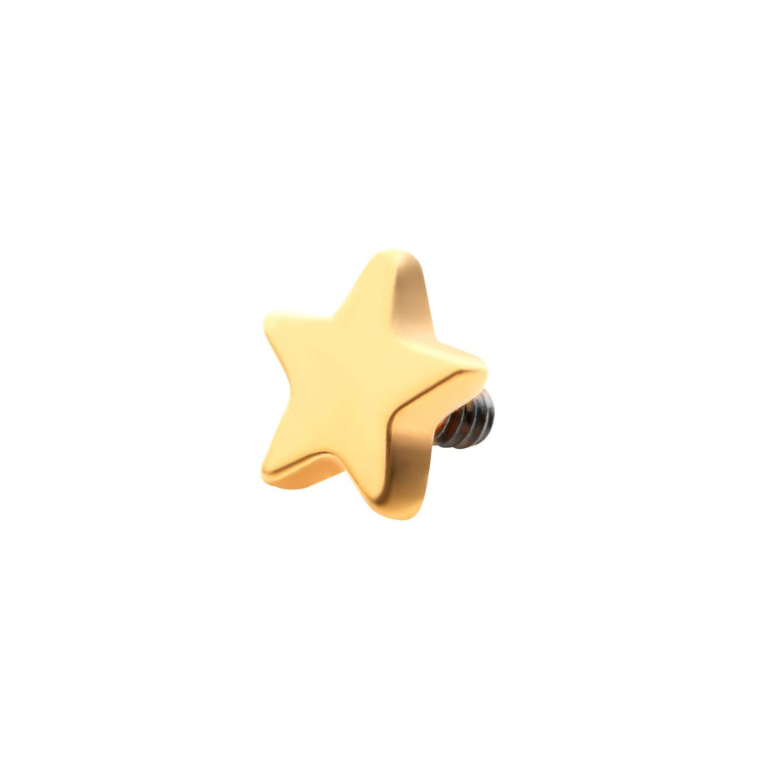 Pendiente estrella oro 24k PVD