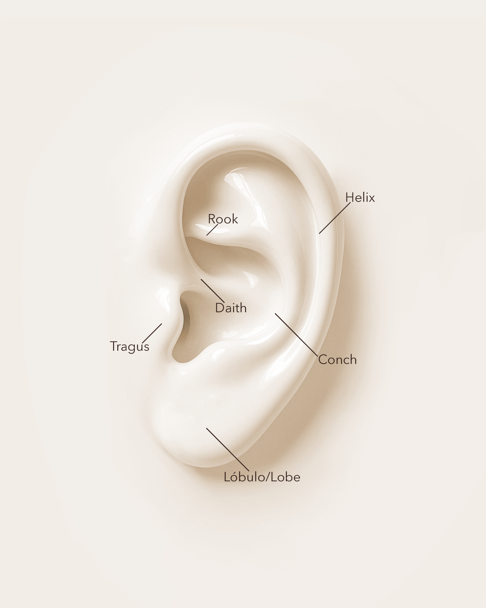 Aro liso básico de oro sólido 14k